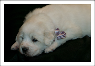 Capture One Session0252